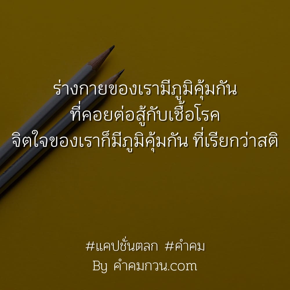 รวมคำคมยามเช้า โดนๆ ครบทุกอารมณ์ ลงเฟสบุ๊ค ต้องหาทำ – คำคมยามเช้า